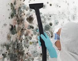 Best Environmental Consulting for Mold Prevention  in Anadarko, OK